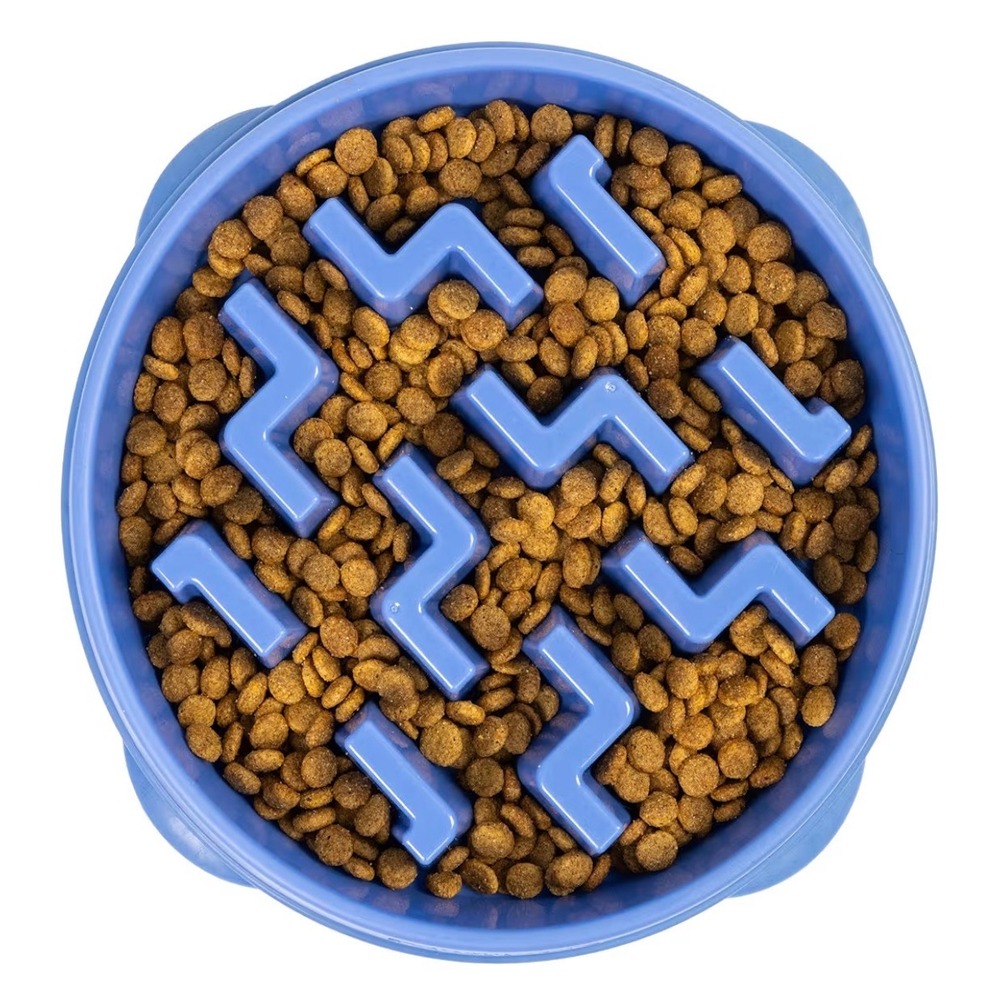 Blue Slow Feeder Dog Bowl Anti-Gulping Puzzle Maze Pet Dish for Better Digestion